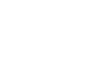 Norsk Dun ikon logo